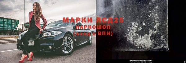 индика Баксан