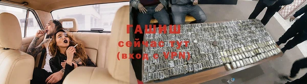 прущие грибы Балахна