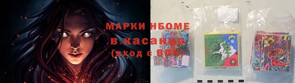 прущие грибы Балахна