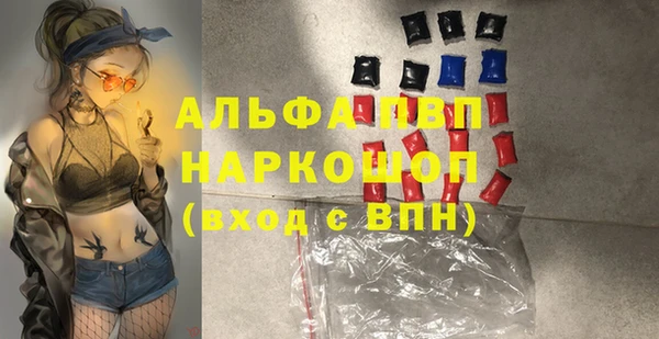 индика Баксан