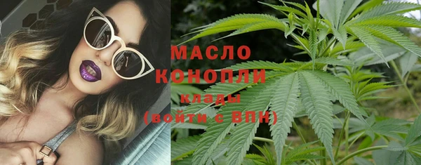 индика Баксан