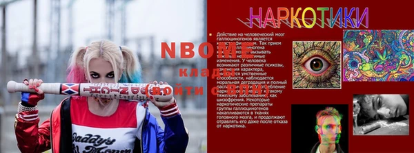 индика Баксан