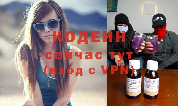 прущие грибы Балахна